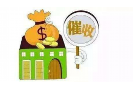 阿拉尔要钱公司收费标准揭秘：透明公开，为您解忧