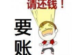 新罗要钱公司排名前十名：揭秘金融界的实力派